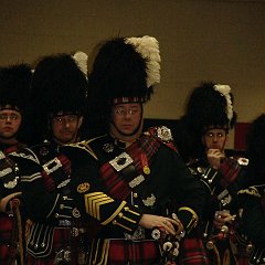 DSC00784 